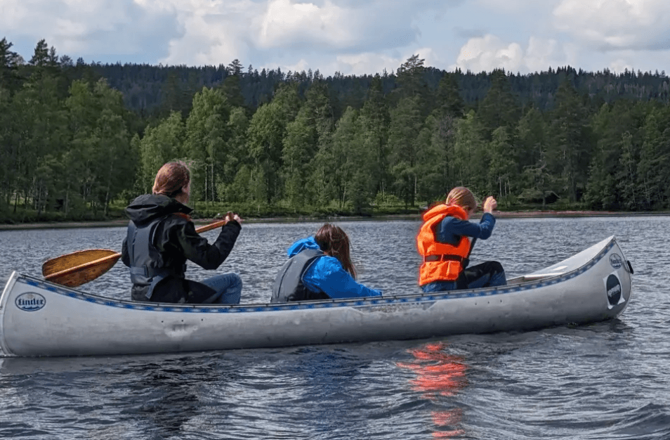 Scoutkåren Vikingarna